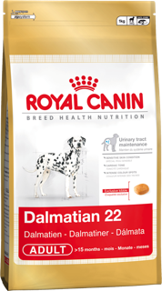 Royal Canin Dlmata Adulto