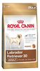 Royal Canin Labrador Retriever Adulto
