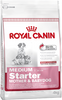 Royal Canin Medium Starter