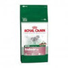 Royal Canin Mini Indoor