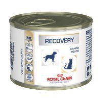Royal Canin Recovery Hmedo